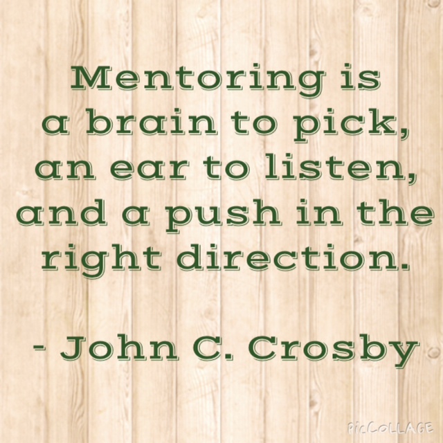 mentoring is