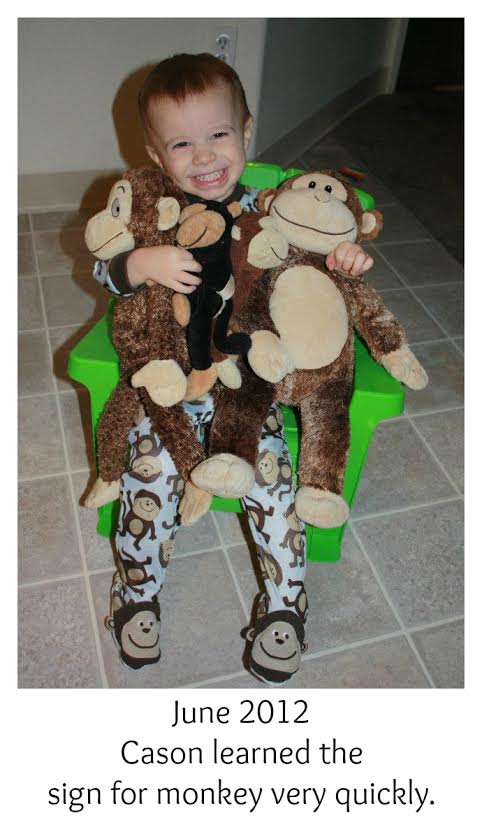 Cason - www.jakes-journey-apraxia.com